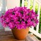 3-Bundle Artificial Outdoor Azalea Flowers – UV-Resistant Faux Silk Bouquets for Planters, Front Door, Patio, Garden, Walkways, and Home Decor (Fuchsia)